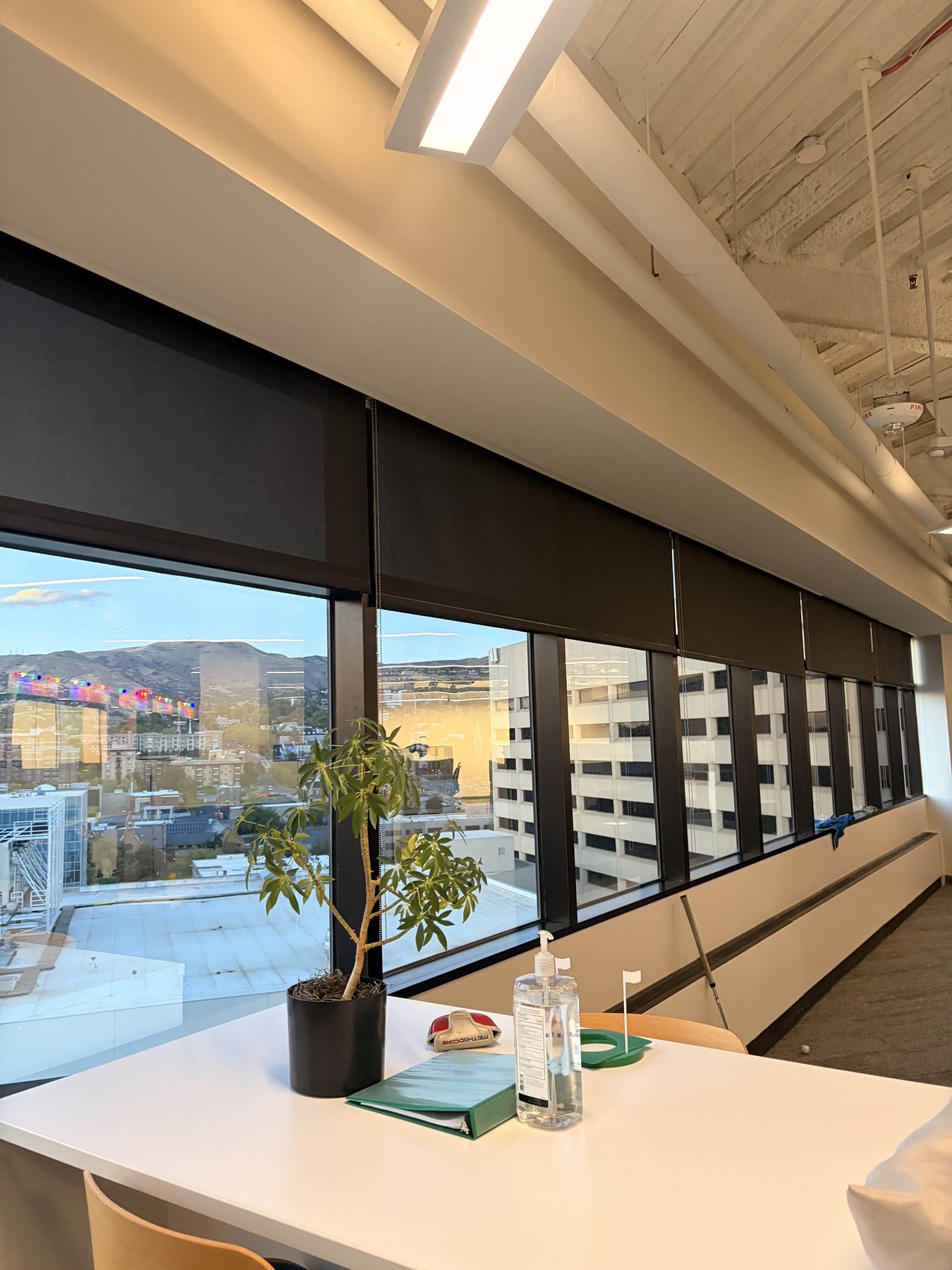 Interior office glass cleaning results on a downtown Salt Lake City window wall, with office greenery on the sill and the city and mountains beyond